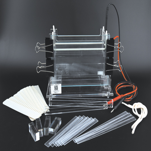 北京六一加寬雙垂直電泳槽電泳儀DYCZ-24B蛋白凝膠電泳儀