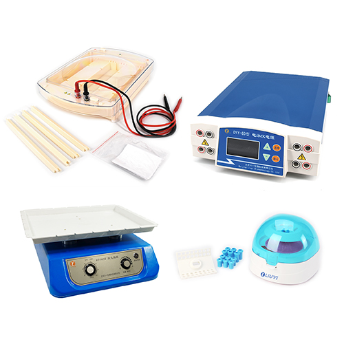 北京六一泳強(qiáng)快速臨床蛋白電泳檢測系統(tǒng)