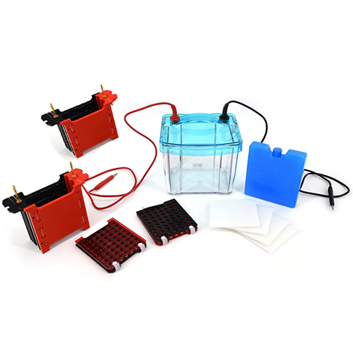 DYCZ-40S型四板轉(zhuǎn)印電泳儀