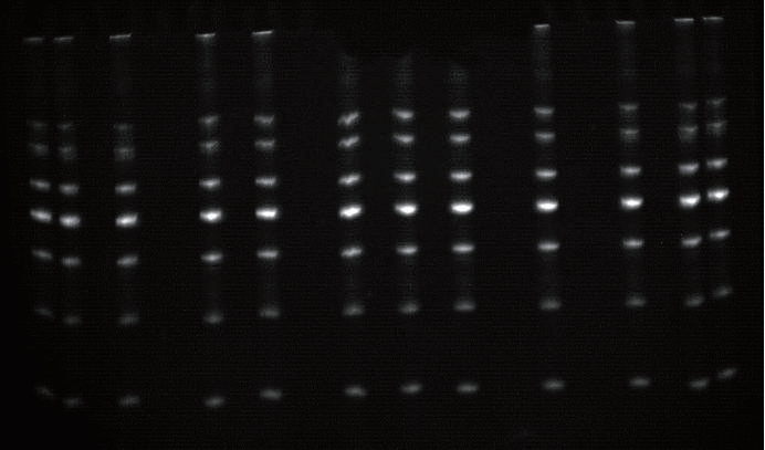 微信圖片_20201022143117 微信圖片_20201022143117