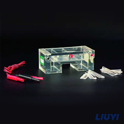 北京六一DYCP-31C瓊脂糖水平電泳儀電泳槽核酸電泳儀(小號(hào))