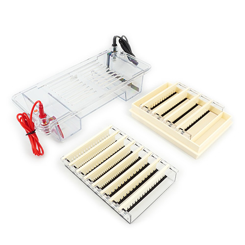 北京六一DYCP-32B瓊脂糖水平電泳儀電泳槽 核酸電泳儀（中號(hào)）