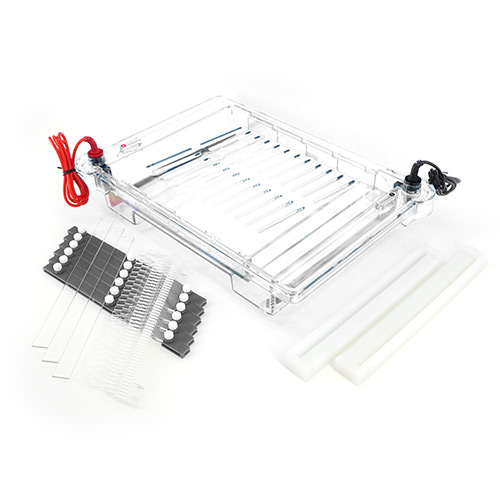 北京六一DYCP-32C型 瓊脂糖水平電泳儀 核酸電泳儀 電泳槽(大號(hào))