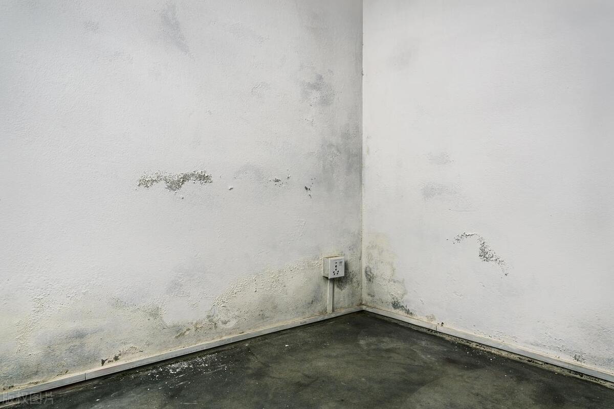 華商除濕王兩聯(lián)供，更適合南方寶寶體質(zhì)，告別濕氣困擾